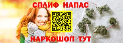 jwh Гатчина