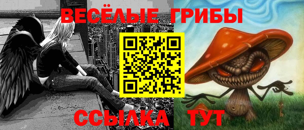 Медногорск  Псилоцибиновые грибы мухоморы  где продают наркотики  Галлюциногенные грибы GOLDEN TEACHER  Вход с VPN 